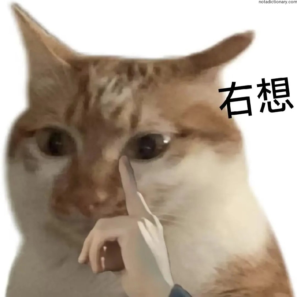 Learn Chinese With Memes: Thinking Right