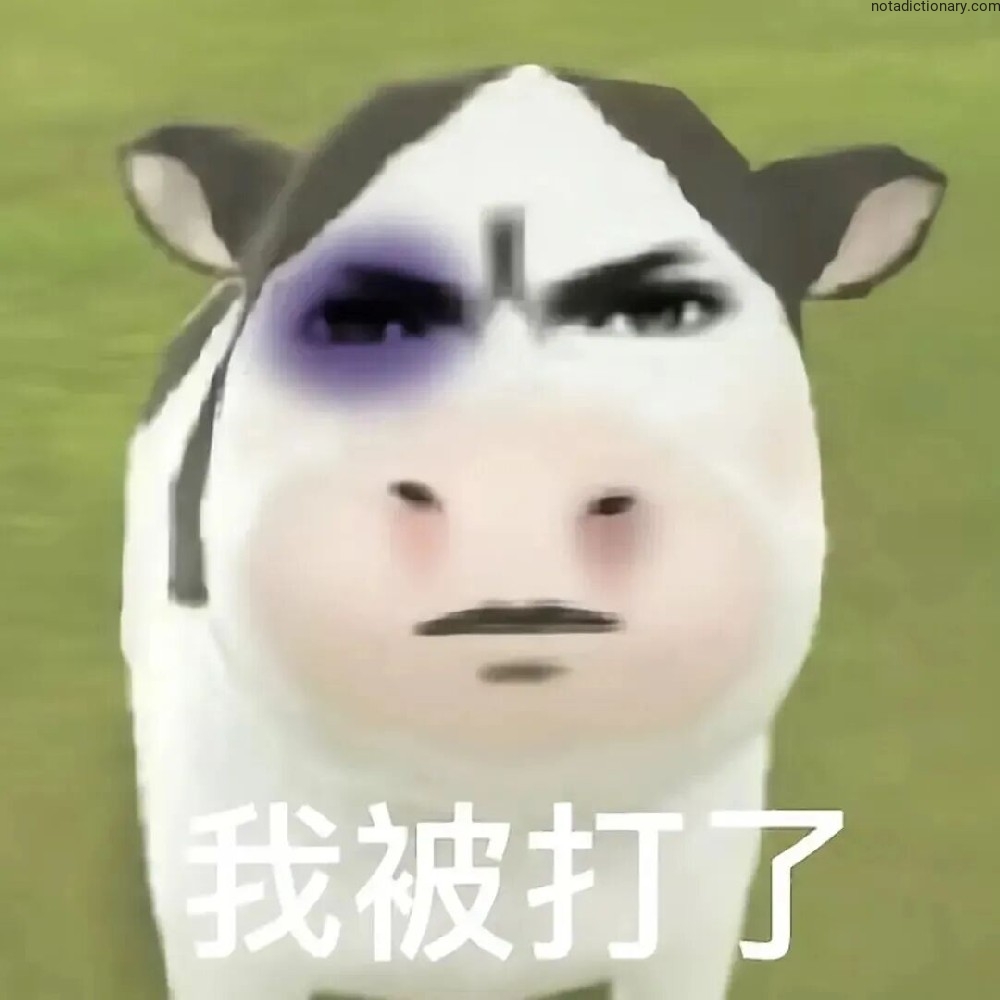 Learn Chinese With Memes: I Got Beaten Up