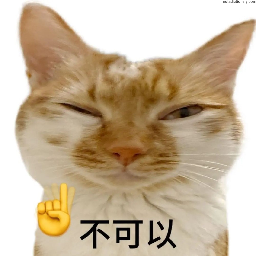 Learn Chinese With Memes: The Ultimate Refusal