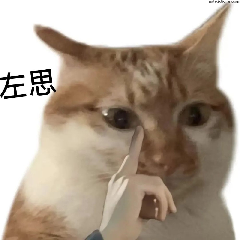Learn Chinese With Memes: The Thinking Cat