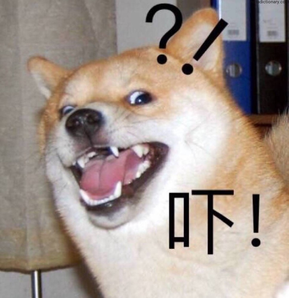 Learn Chinese With Memes: The Shocked Doge