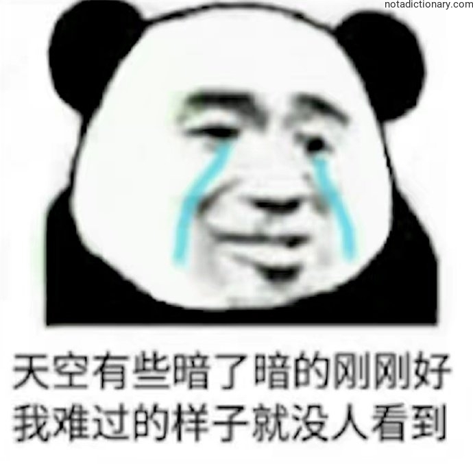 Learn Chinese With Memes: 天空暗了没人看到