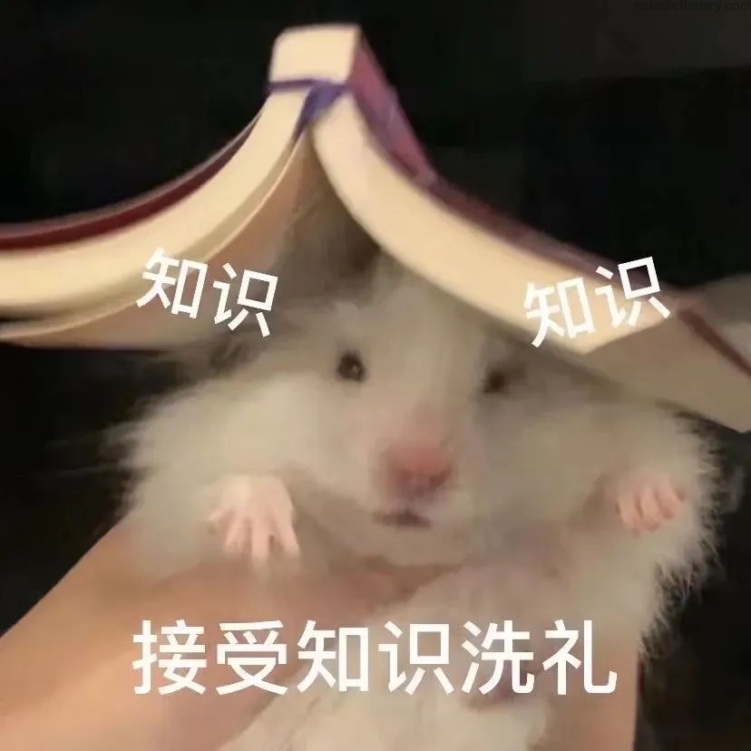 Learn Chinese With Memes: Knowledge Baptism