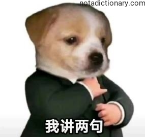 Learn Chinese With Memes: Let Me Say Two Words
