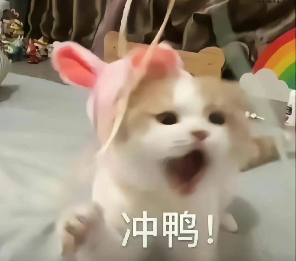 Learn Chinese With Memes: Chong Ya Motivation