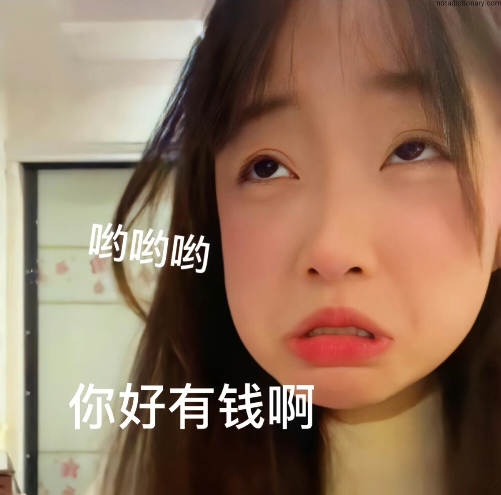 Learn Chinese With Memes: You Are So Rich
