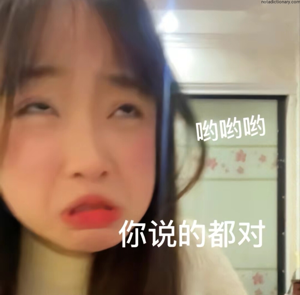 Learn Chinese With Memes: Whatever You Say Is Right