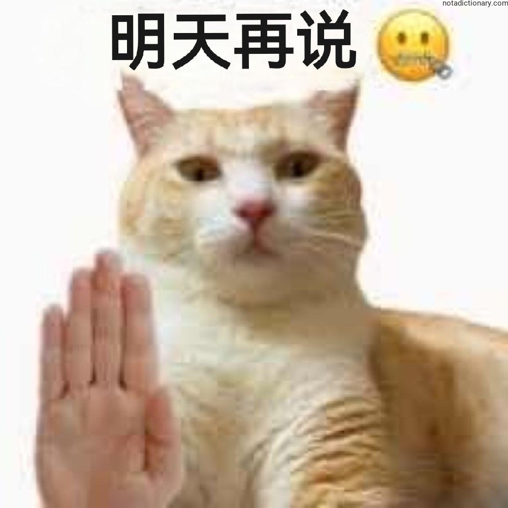 Learn Chinese With Memes: Postpone Everything