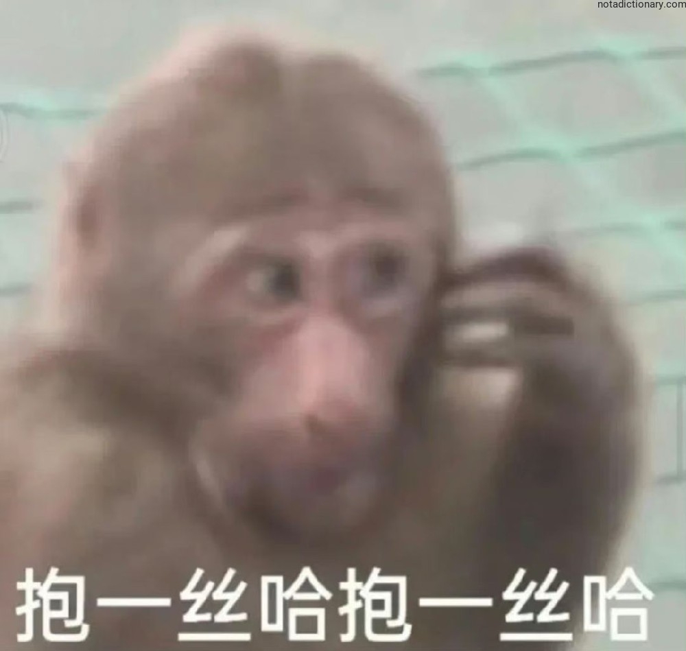 Learn Chinese With Memes: Sorry But Not Really