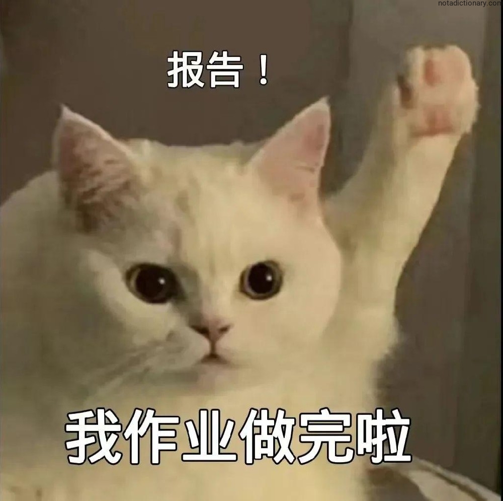 Learn Chinese With Memes: Homework Done Report