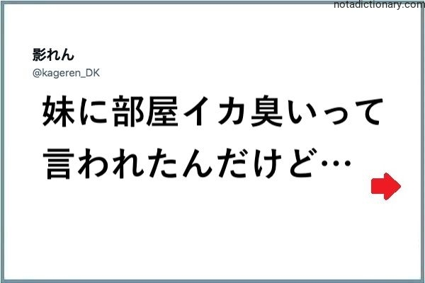 Learn Japanese With Memes: Squid Smell Complaint