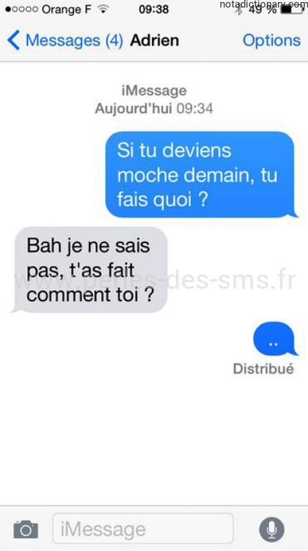 Learn French With Memes: What If You Got Ugly?