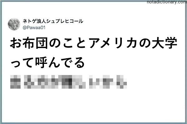 Learn Japanese With Memes: The Futon University Mistake