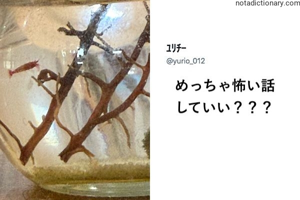 Learn Japanese With Memes: Scary Stories?