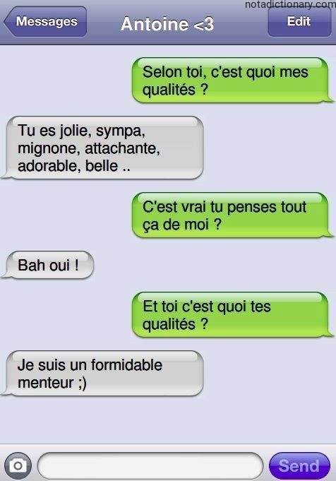 Learn French With Memes: Les Qualités
