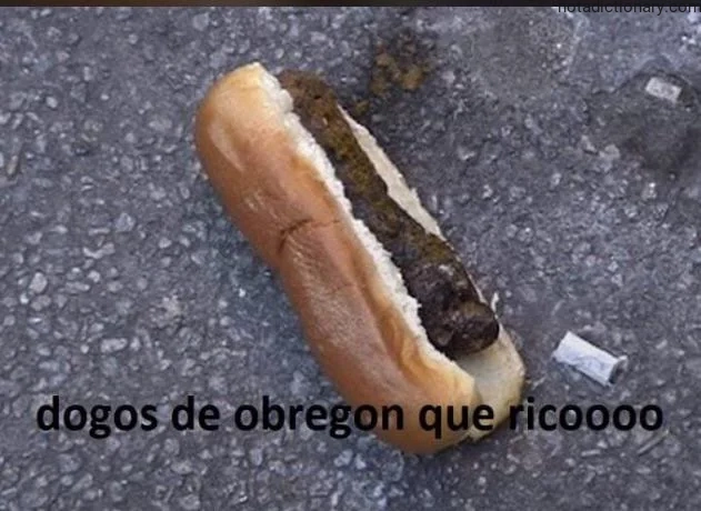 Learn Spanish With Memes: Dogos De Obregon