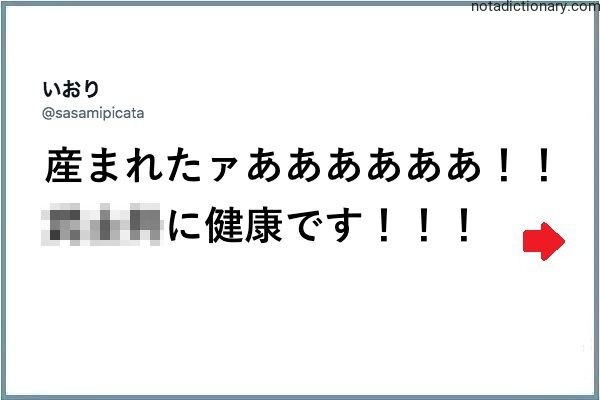 Learn Japanese With Memes: The Ultimate Birth Scream