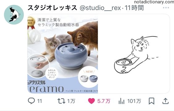 Learn Japanese With Memes: Pet Water Bowls
