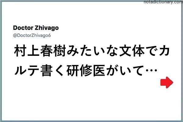Learn Japanese With Memes: The Murakami Style Doctor