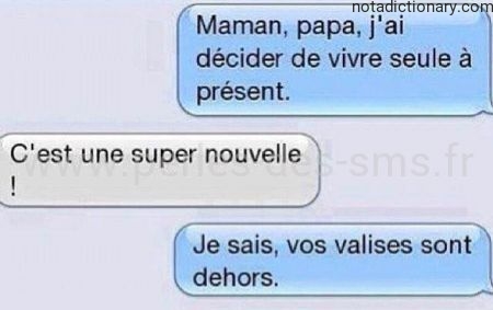 Learn French With Memes: Living Alone