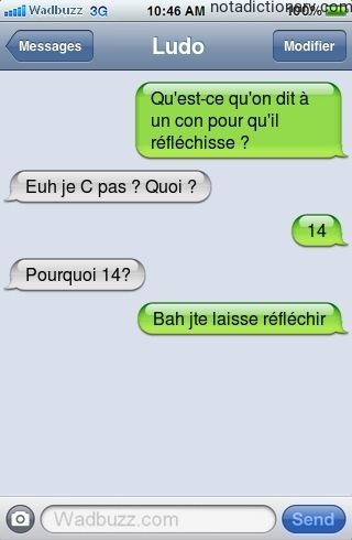 Learn French With Memes: Conneries et Réflexion