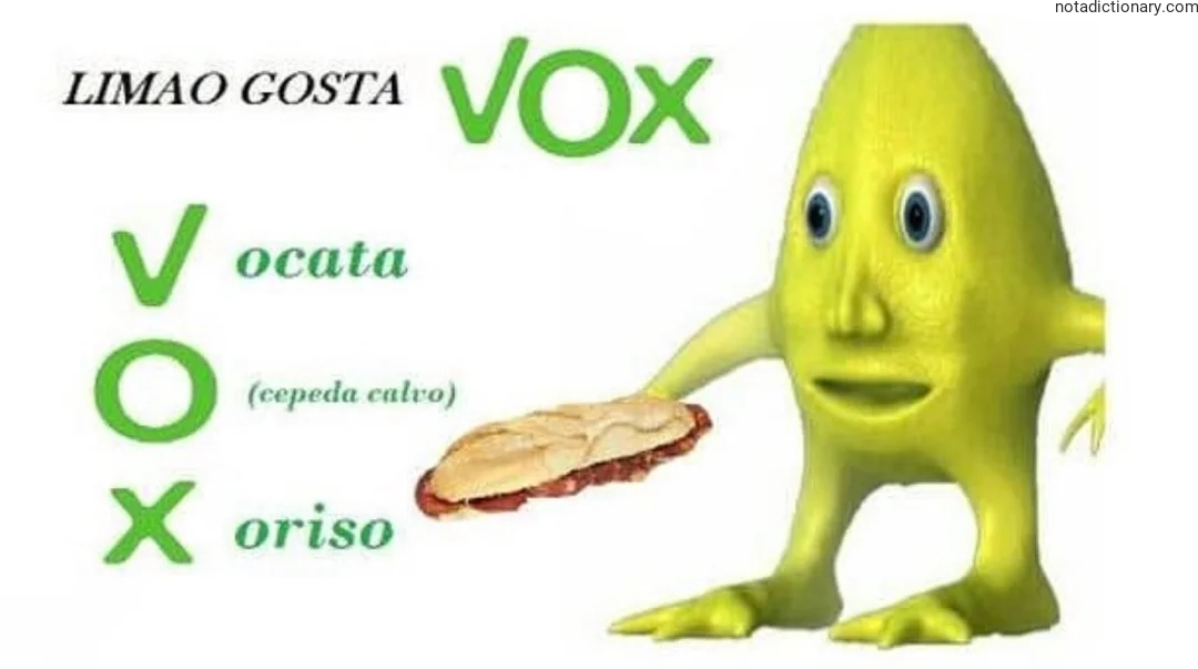 Learn Portuguese With Memes: Limao Gosta Vox