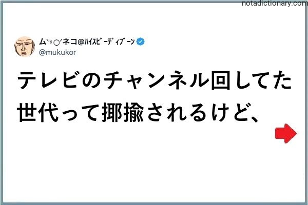 Learn Japanese With Memes: The Channel Switching Generation