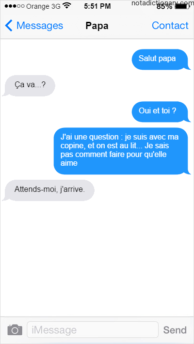 Learn French With Memes: Le Lit et L’Amour
