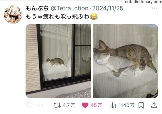 Learn Japanese With Memes: The Cat’s Weight Loss