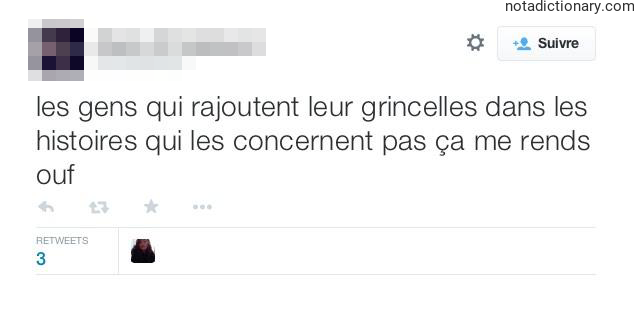 Learn French With Memes: Les Grincelles Qui Gâchent Tout