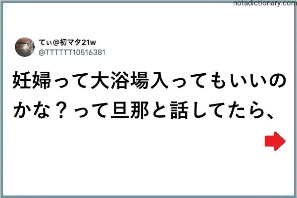 Learn Japanese With Memes: Can Pregnant Women Enter?