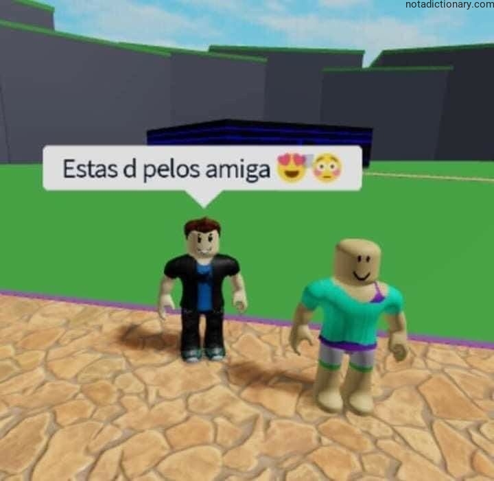 Learn Spanish With Memes: Error de Género