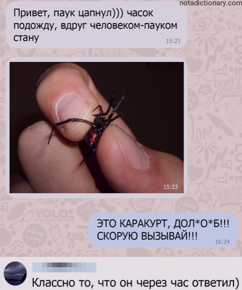 Learn Russian With Memes: Spider Bite Panic