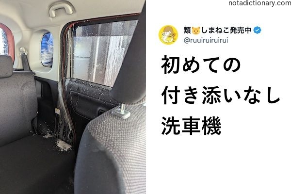 Learn Japanese With Memes: First Time Car Wash Alone