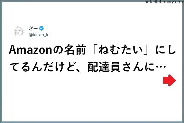 Learn Japanese With Memes: Sleepy Amazon Name