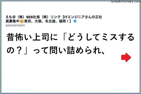 Learn Japanese With Memes: Why Did I Make a Mistake?
