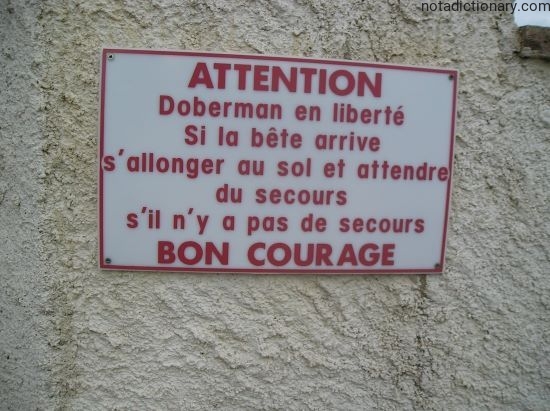 Learn French With Memes: Danger Sign Doberman