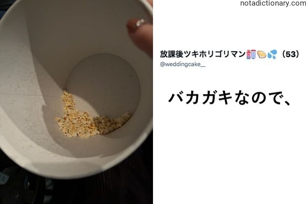 Learn Japanese With Memes: Baka Gaki Explained