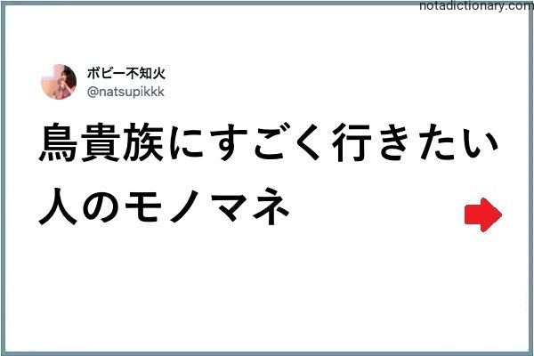 Learn Japanese With Memes: Imitating Bird Tribe Fans