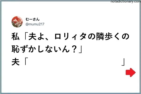 Learn Japanese With Memes: Shy About Lolita Fashion?