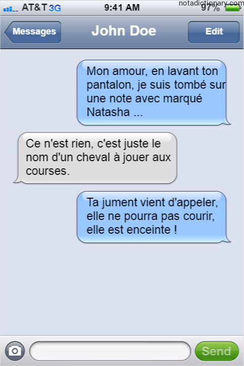 Learn French With Memes: The Horse Joke