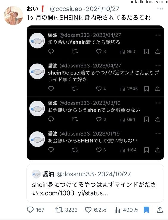 Learn Japanese With Memes: Shein Shopping Hauls