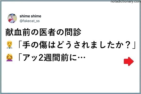 Learn Japanese With Memes: Doctor’s Interview Question