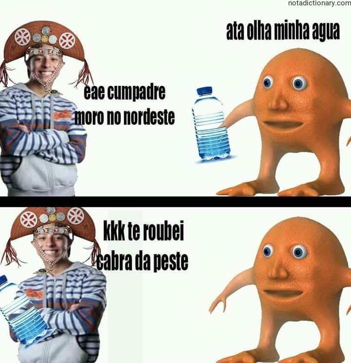 Learn Portuguese With Memes: Nordeaste Dialect