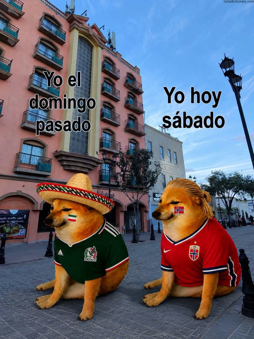Learn Spanish With Memes: Past vs Present Time