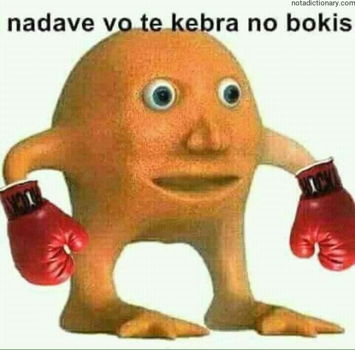 Learn Slovenian With Memes: Nadave Vo Te Kebra No Bokis