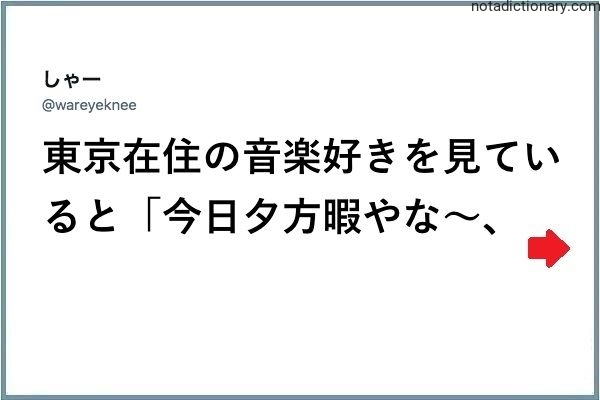 Learn Japanese With Memes: Tokyo Music Lovers