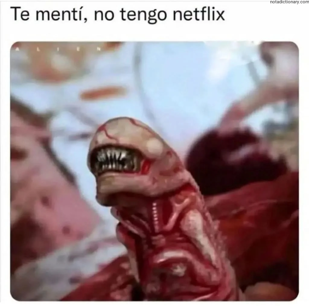 Learn Spanish With Memes: No Tengo Netflix