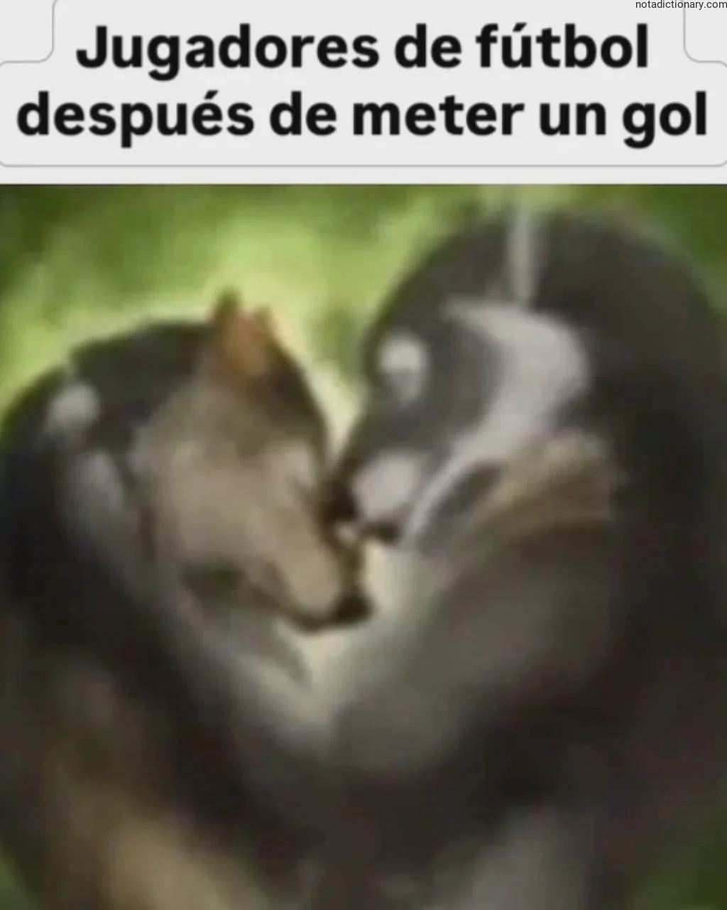 Learn Spanish With Memes: Golazo Celebration