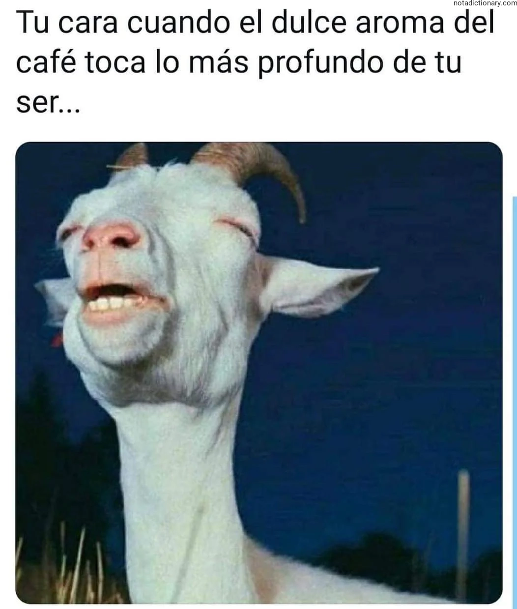 Learn Spanish With Memes: El Aroma del Café
